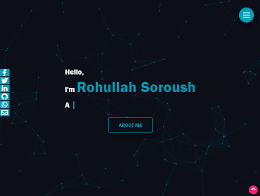 Rohullah Soroush's Portfolio image